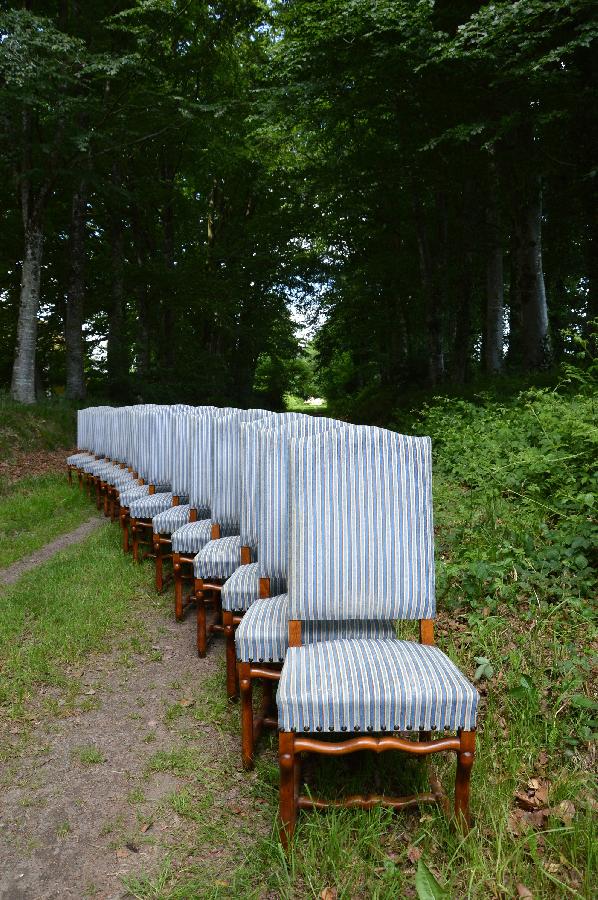 ensemble de 16 chaises os de mouton FAE188